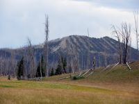 Outside Yellowstone